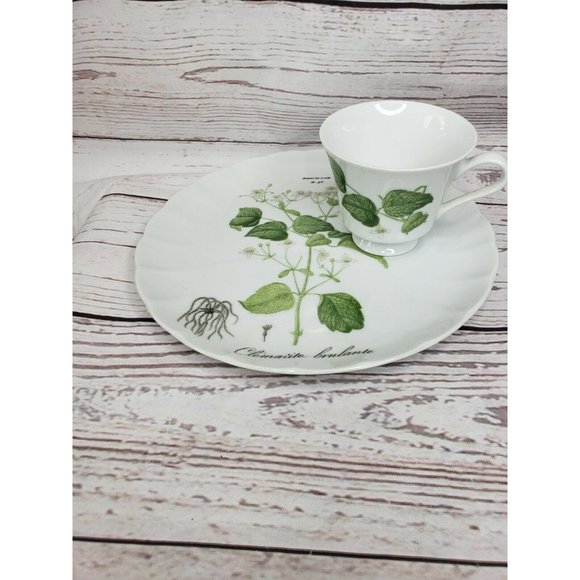 Vintage Hocquart Del Et Sculp Pl 95 Clematite Brulante Tea Cup And Plate Set - Picture 7 of 12